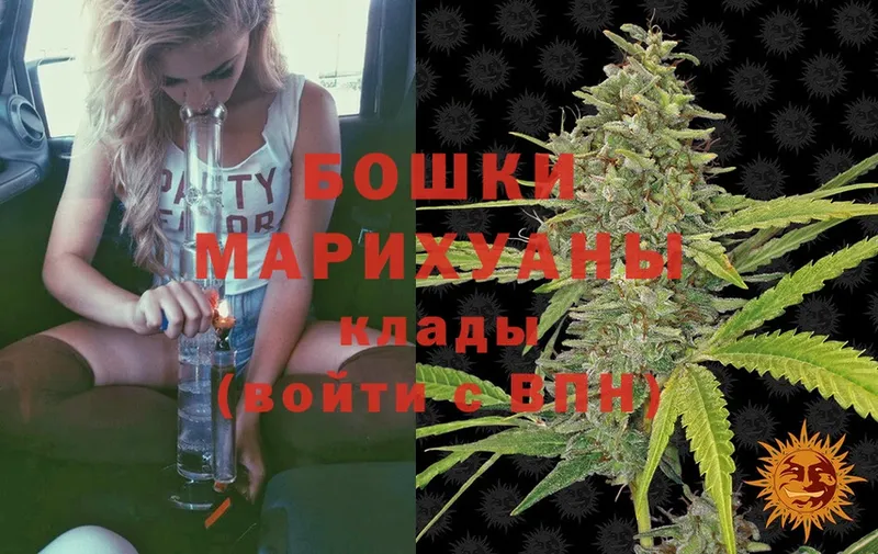 где купить   Зеленокумск  Канабис SATIVA & INDICA 